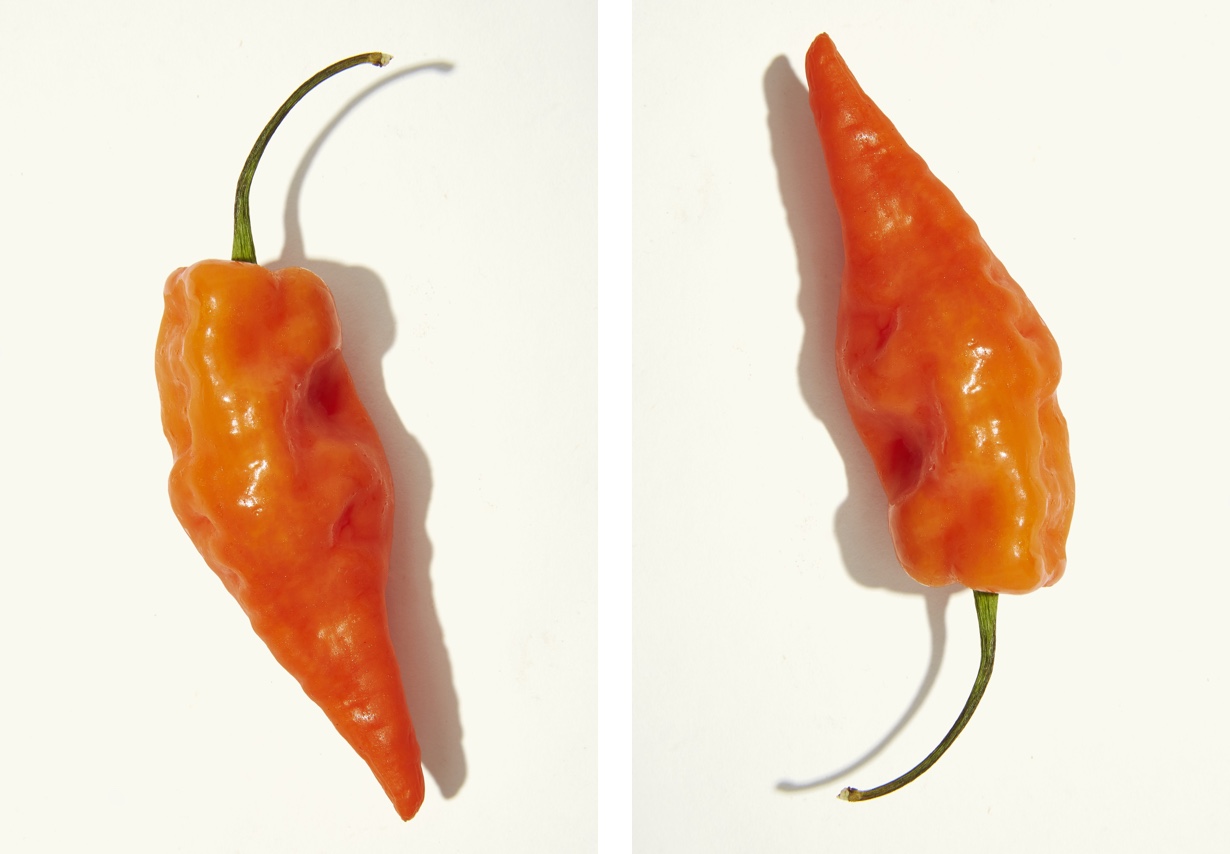 Peppers